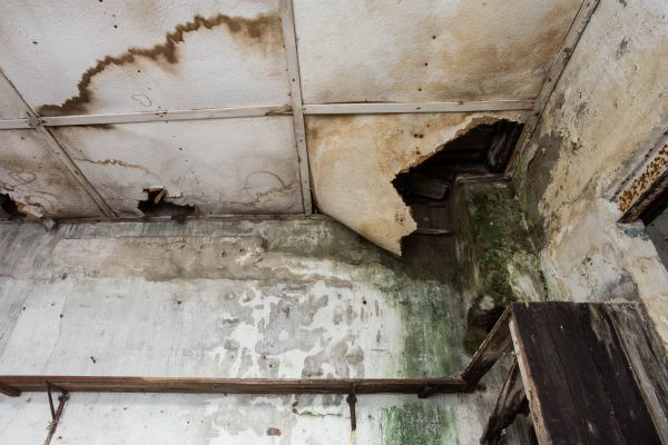 Cost of Water Damage Service in Temecula