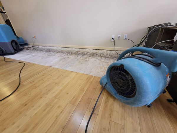 Cost of Water Damage Mitigation in Temecula