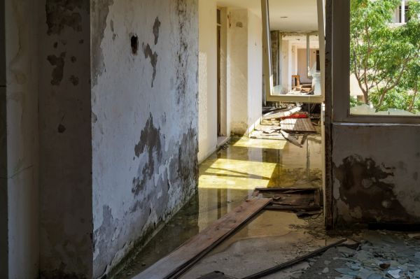 Cost of Water Removal Service in Temecula