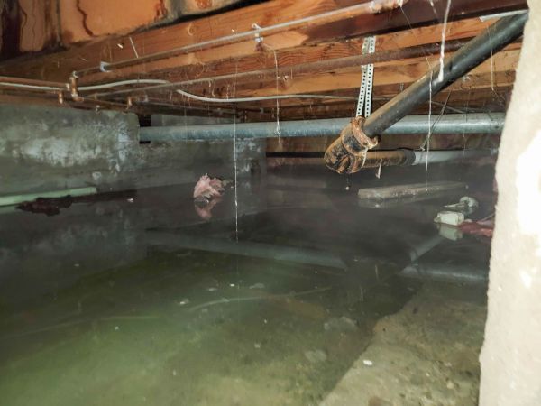 Cost of Crawl Space Drying in Temecula