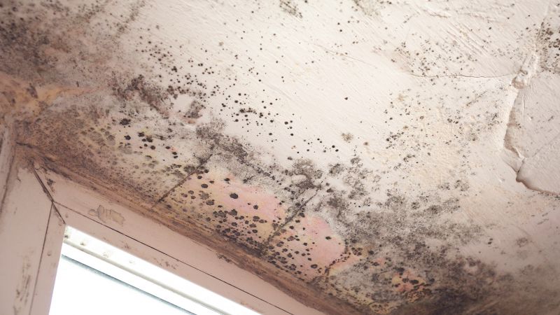 Mold Prevention